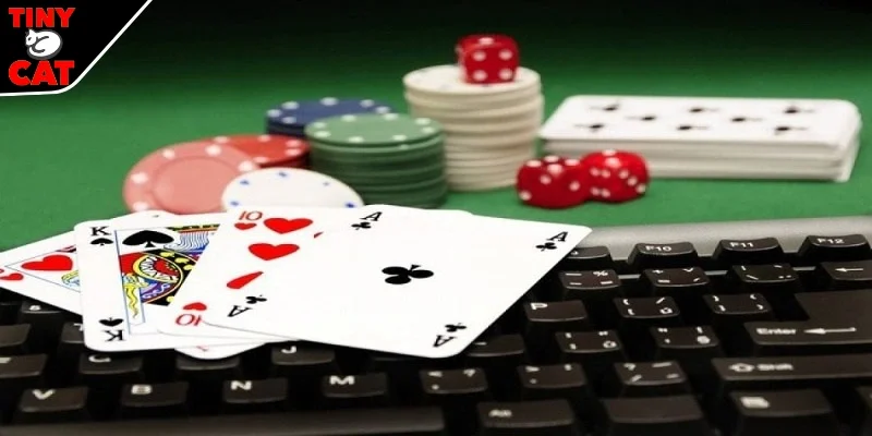 Đôi nét tìm hiểu về bài tấn cho bạn