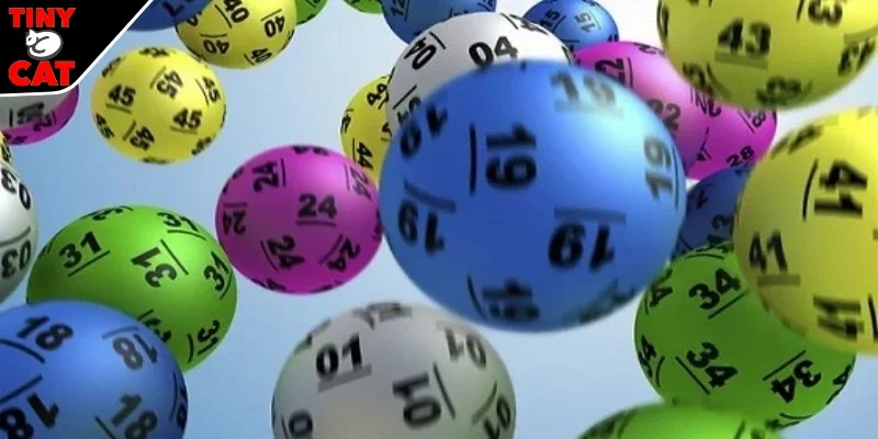 Một số kinh nghiệm chơi tại TINYCAT