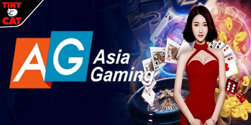 Sảnh AG gia tăng cơ hội thắng lớn