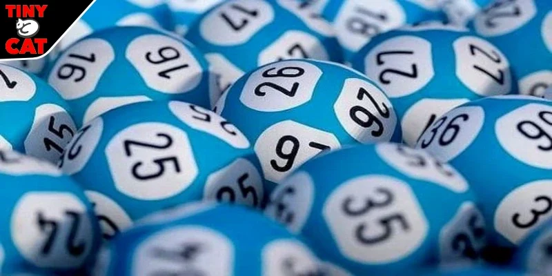 Cách chơi lô tại TINYCAT