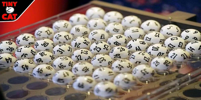 Lô 3 càng được hiểu là gì?