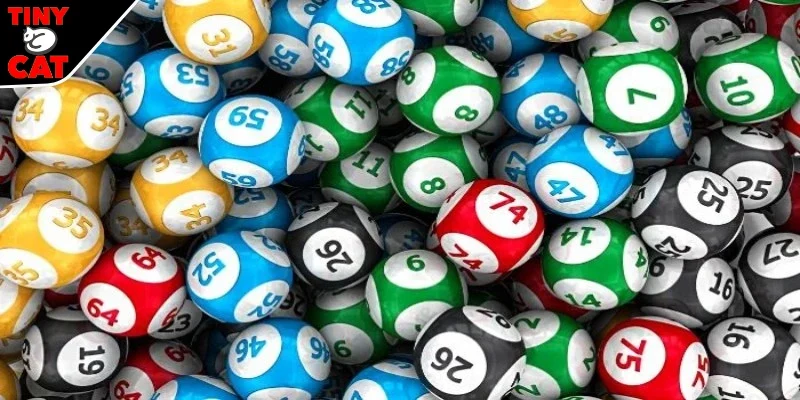 Một số bí kíp chiến thắng 