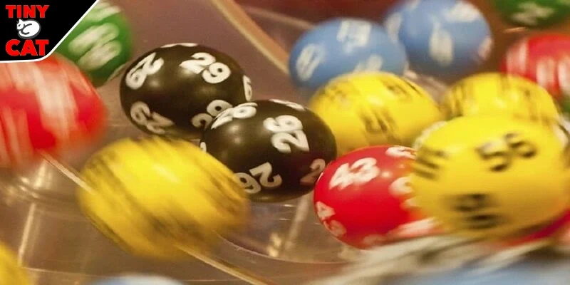 Hướng dẫn chơi dễ dàng tại TINYCAT