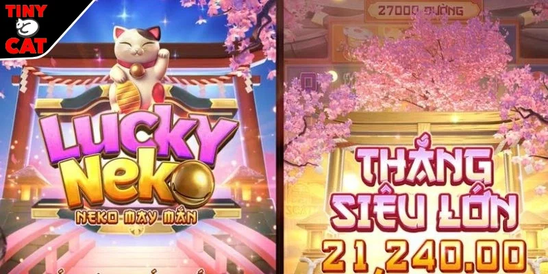 Mẹo tham gia thắng lớn cho bạn