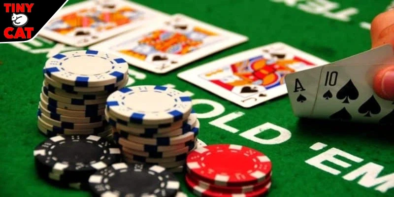 Hướng dẫn cách chơi cho người tham gia