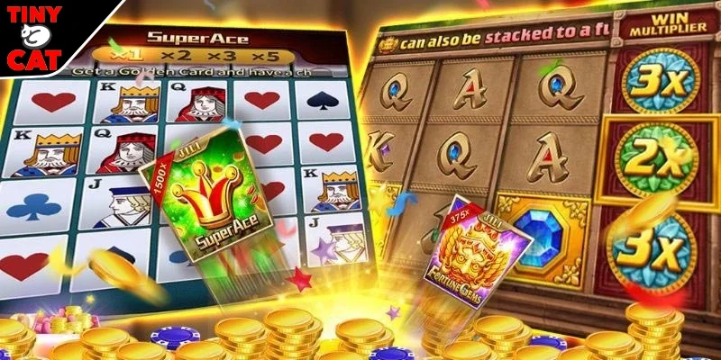 Kinh nghiệm chiến thắng tại TINYCAT