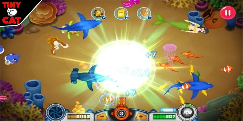 Một số luật tại TINYCAT 