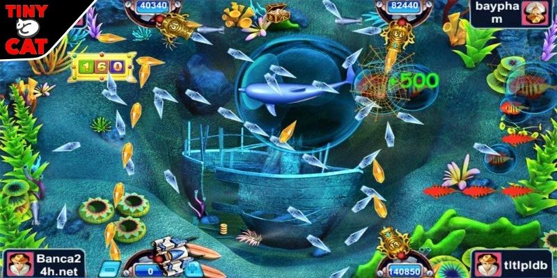 Thuyền trưởng đánh cá thu hút tham gia 