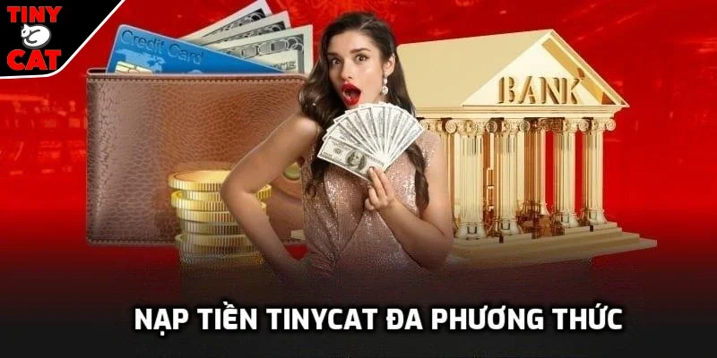 Nạp tiền TINYCAT99 cực dễ cho thành viên