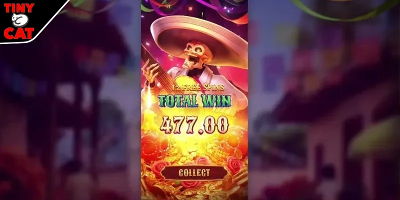 Mẹo thắng lớn cho bạn khi tham gia