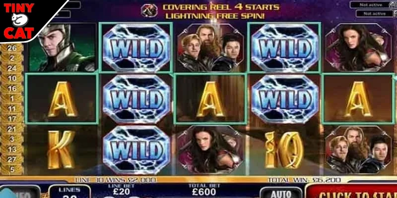 Tìm hiểu về Wild đạo tặc cho bạn