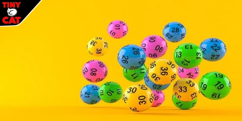 Một số mẹo khi chơi xổ số tại TINYCAT